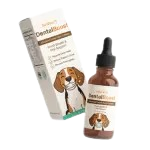 FreshFlow Dental Boost
