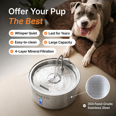 The FreshFlow Dog Fountain™