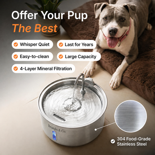 The FreshFlow Dog Fountain™