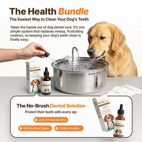 The FreshFlow Dog Fountain™