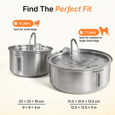 The FreshFlow Dog Fountain™