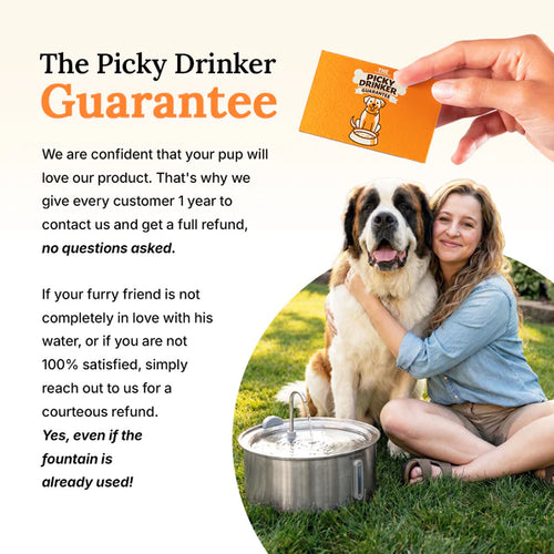 The FreshFlow Dog Fountain™